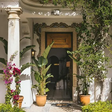 Pergola Boutique Couette-café Cascais
